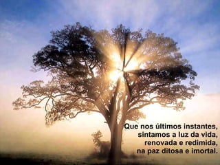 Que nos últimos instantes, sintamos a luz da vida, renovada e redimida, na paz ditosa e imortal. 