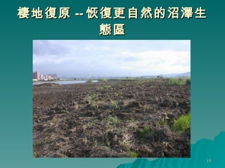 棲地復原 -- 恢復更自然的沼澤生態區 
