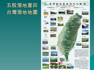 五股溼地重回台灣溼地地圖 