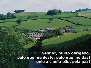 Senhor, muito obrigado,  pelo que me deste, pelo que me dás! pelo ar, pelo pão, pela paz! 