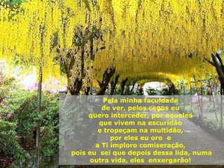 Pela minha faculdade  de ver, pelos cegos eu  quero interceder, por aqueles  que vivem na escuridão  e tropeçam na multidão,  por eles eu oro  e  a Ti imploro comiseração,  pois eu  sei que depois dessa lida, numa outra vida, eles  enxergarão!  