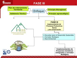 Escuelas para el Desarrollo Sostenible. Corredor Biológico Red Ambiental FASE III Implementación de  Procesos Productivos Sanos y de conservación   Enfoque Principio Bioregional Principio agroecológico Plan de ordenamiento  Territorial Asistencia Técnica Implementación de  Proyectos temáticos  Integrales y corredor  Biológico. FASE III 