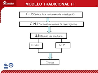 MODELO TRADICIONAL TT 