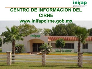 CENTRO DE INFORMACION DEL CIRNE www.inifapcirne.gob.mx 