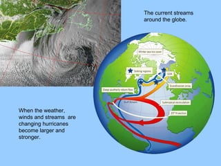 The current streams  around the globe. When the weather, winds and streams  are changing hurricanes become larger and stronger. 