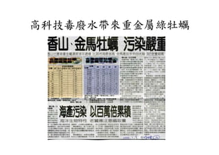 高科技毒廢水帶來重金屬綠牡蠣
 