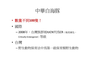 中華白海豚
• 數量不到100隻！
• 國際
 – 2008年，台灣族群被IUCN列為CR（極度瀕危，
   Critically Endangered）等級

• 台灣
 – 野生動物保育法中為第一級保育類野生動物
 