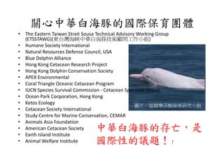 關心中華白海豚的國際保育團體
•   The Eastern Taiwan Strait Sousa Technical Advisory Working Group 
    (ETSSTAWG)(東台灣海峽中華白海豚技術顧問工作小組)
•   Humane Society International
•   Natural Resources Defense Council, USA
•   Blue Dolphin Alliance
•   Hong Kong Cetacean Research Project
•   Hong Kong Dolphin Conservation Society
•   APEX Environmental
               o e a
•   Coral Triangle Oceanic Cetacean Program
•   IUCN Species Survival Commission ‐ Cetacean Specialist Group
•   Ocean Park Corporation, Hong Kong
    Ocean Park Corporation Hong Kong
•   Ketos Ecology                                     圖片：福爾摩莎鯨保育研究小組
•   Cetacean Society International
•   Study Centre for Marine Conservation, CEMAR
    Study Centre for Marine Conservation CEMAR
•   Animals Asia Foundation
•   American Cetacean Society 中華白海豚的存亡，是
•   Earth Island Institute
        h l d
•   Animal Welfare Institute  國際性的議題！                                 ！
 