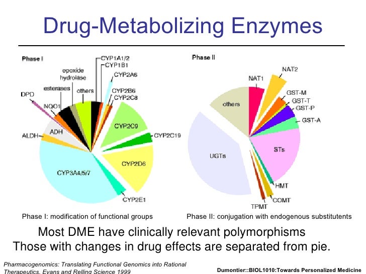 Drug Metabolism Chart