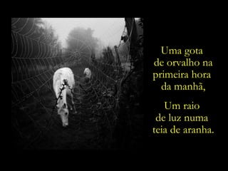 Uma gota  de orvalho na primeira hora  da manhã, Um raio  de luz numa  teia de aranha. 