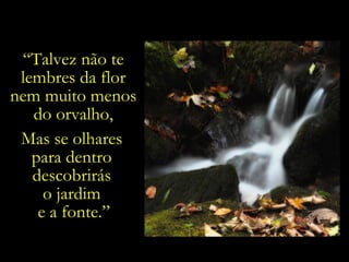 “ Talvez não te lembres da flor nem muito menos do orvalho, Mas se olhares  para dentro  descobrirás  o jardim  e a fonte.” 