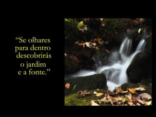 “ Se olhares  para dentro  descobrirás o jardim  e a fonte.” 