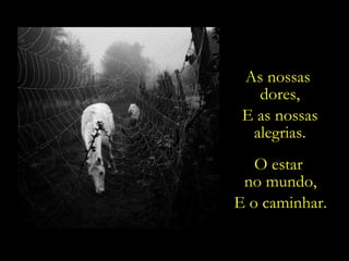 As nossas  dores, E as nossas alegrias. O estar  no mundo, E o caminhar. 