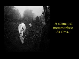A silenciosa metamorfose  da alma... 