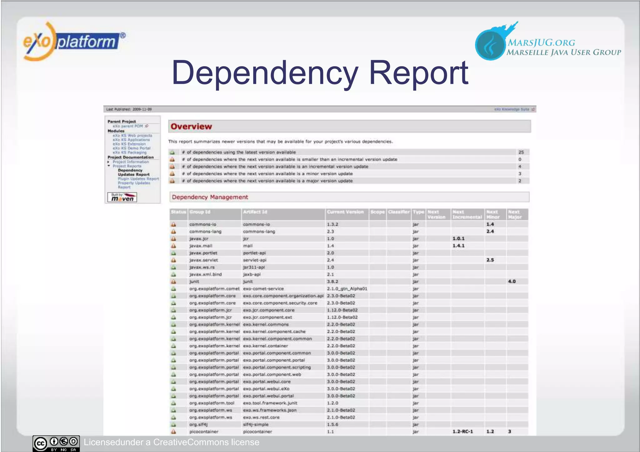 Dependency Report
