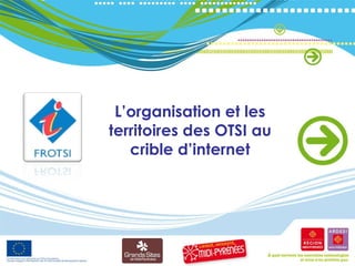 L’organisation et les territoires des OTSI au crible d’internet 