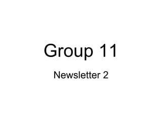 Group 11 Newsletter 2 