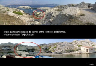 Le site Gare  Saint Charles.   PAS NETTE Il faut  partager l’espace de travail entre ferme et plateforme, tout en facilitant l’exploitation. 