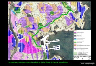 Plan flore protégée Le sentier chemine dans le relief et évite flore et faune sensibles. 