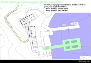 Plan partie IOP Ponton pédagogique avec bassins de démonstration pour pour loups et dorades :  -  Deux  bassins petites tailles   -  Deux  bassins pour adultes PROJET:  Espace public extérieur adapté au PMR pour visite de la ferme 