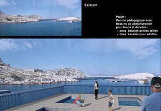 Le sentier des Lys Projet : Ponton pédagogique avec bassins de démonstration pour loups et dorades :  -  deux  bassins petites tailles   -  deux  bassins pour adultes Existant 