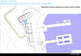 Plan de l’étage Passerelle de liaison extérieure et accès à partir du RDC PROJET: L’ETAGE Espace mixte pour le personnel de la plateforme et de la ferme 