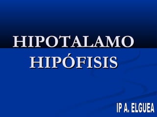 HIPOTALAMO
HIPÓFISIS

 