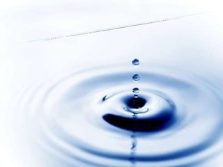 WATER AND ITS  FONCTION 
