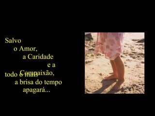 Salvo  o Amor,  a Caridade  e a Compaixão, todo o mais  a brisa do tempo apagará...  