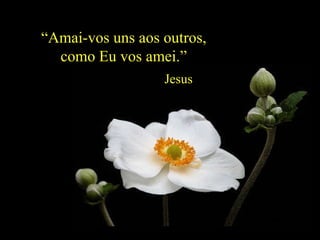 “ Amai-vos uns aos outros, como Eu vos amei.” Jesus  