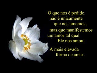 O que nos é pedido  não é unicamente  que nos amemos,  mas que manifestemos um amor tal qual  Ele nos amou. A mais elevada  forma de amar.  “ Amai-vos uns aos outros, como Eu vos amei.” Jesus Cristo 