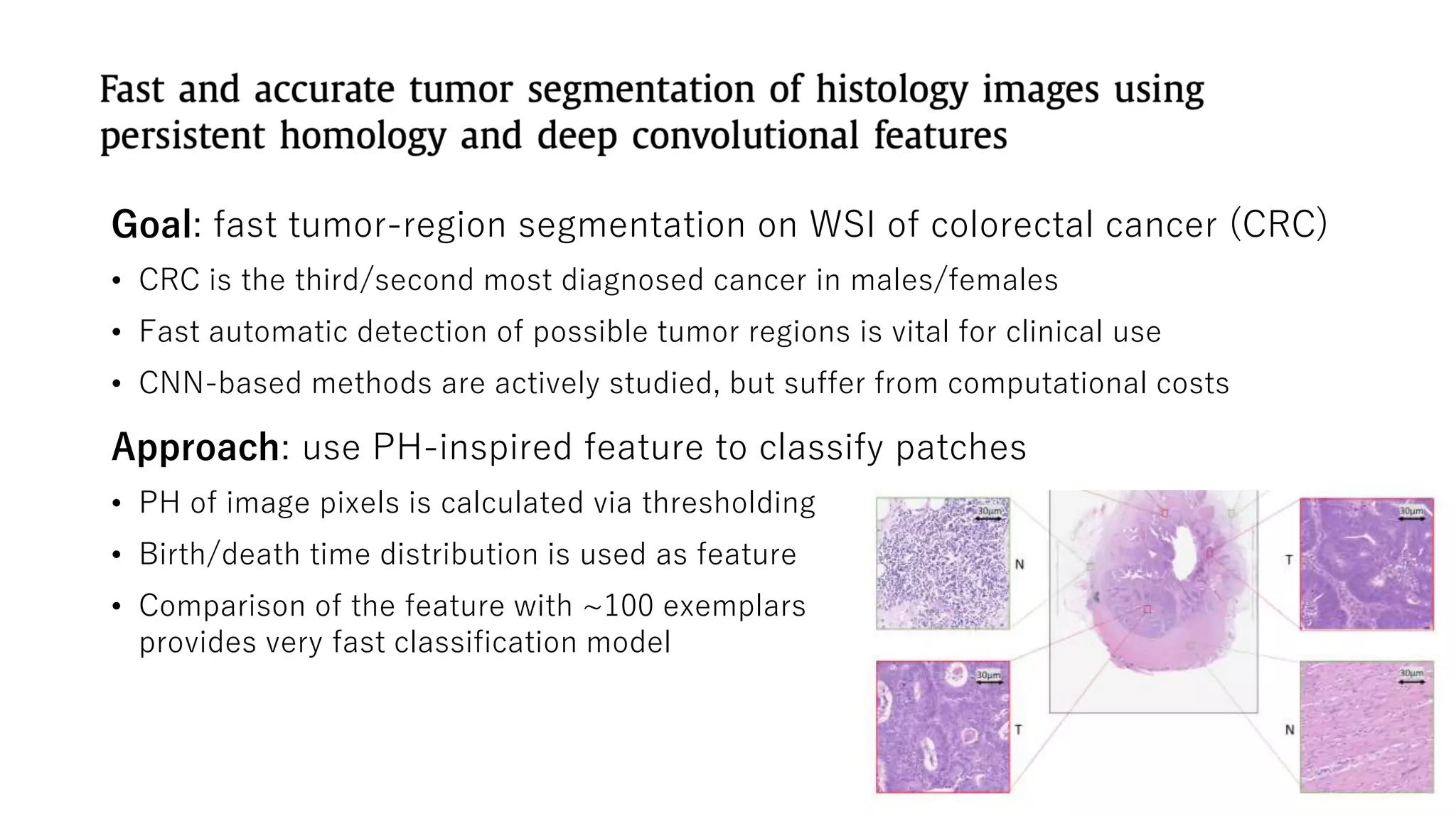 Paper memo: persistent homology on biological problems | PPTX