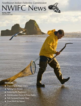 Northwest Indian Fisheries Commission

NWIFC News
Spring 2009
www.nwifc.org




   INSIDE:
   ■ Depending on Razor Clams
   ■ Fighting Fish Disease
   ■ Sustaining Elk Populations
   ■ Grandmothers Focus on Treaty Rights
   ■ Fish Carcasses Provide Clues
   ■ Cows Work for Salmon
 
