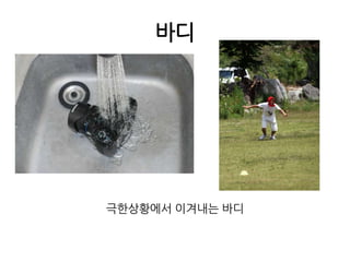 바디극한상황에서 이겨내는 바디