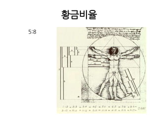 황금비율5:8