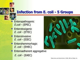 Infection from E. coli - 5 Groups Enteropathogenic  E.coli  - (EPEC) Enterotoxigenic  E. coli  - (ETEC) Enteroinvasive  E. coli  - (EIEC) Enterohemmorhagic E. coli  - (EHEC) Enteroadherent aggregative  E. coli  - (EAEC) 