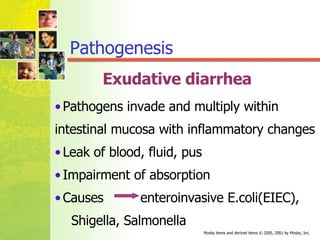 Exudative diarrhea Pathogens invade and multiply within  intestinal mucosa with inflammatory changes Leak of blood, fluid, pus  Impairment of absorption  Causes  enteroinvasive E.coli(EIEC),  Shigella, Salmonella  Pathogenesis 