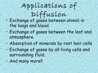 Movement of Substances | PPT | Chemistry | Science