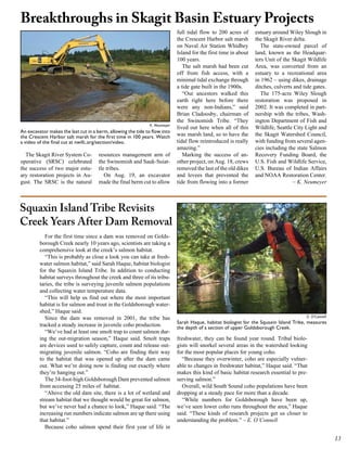 Breakthroughs in Skagit Basin Estuary Projects
                                                                             full tidal flow to 200 acres of      estuary around Wiley Slough in
                                                                             the Crescent Harbor salt marsh       the Skagit River delta.
                                                                             on Naval Air Station Whidbey            The state-owned parcel of
                                                                             Island for the first time in about   land, known as the Headquar-
                                                                             100 years.                           ters Unit of the Skagit Wildlife
                                                                                The salt marsh had been cut       Area, was converted from an
                                                                             off from fish access, with a         estuary to a recreational area
                                                                             minimal tidal exchange through       in 1962 – using dikes, drainage
                                                                             a tide gate built in the 1900s.      ditches, culverts and tide gates.
                                                                                “Our ancestors walked this           The 175-acre Wiley Slough
                                                                             earth right here before there        restoration was proposed in
                                                                             were any non-Indians,” said          2002. It was completed in part-
                                                                             Brian Cladoosby, chairman of         nership with the tribes, Wash-
                                                                             the Swinomish Tribe. “They           ington Department of Fish and
                                                               K. Neumeyer
                                                                             lived out here when all of this      Wildlife, Seattle City Light and
An excavator makes the last cut in a berm, allowing the tide to flow into
the Crescent Harbor salt marsh for the first time in 100 years. Watch        was marsh land, so to have the       the Skagit Watershed Council,
a video of the final cut at nwifc.org/section/video.                         tidal flow reintroduced is really    with funding from several agen-
                                                                             amazing.”                            cies including the state Salmon
  The Skagit River System Co-         resources management arm of               Marking the success of an-        Recovery Funding Board, the
operative (SRSC) celebrated           the Swinomish and Sauk-Suiat-          other project, on Aug. 18, crews     U.S. Fish and Wildlife Service,
the success of two major estu-        tle tribes.                            removed the last of the old dikes    U.S. Bureau of Indian Affairs
ary restoration projects in Au-          On Aug. 19, an excavator            and levees that prevented the        and NOAA Restoration Center.
gust. The SRSC is the natural         made the final berm cut to allow       tide from flowing into a former                        – K. Neumeyer



Squaxin Island Tribe Revisits
Creek Years After Dam Removal
            For the first time since a dam was removed on Golds-
         borough Creek nearly 10 years ago, scientists are taking a
         comprehensive look at the creek’s salmon habitat.
            “This is probably as close a look you can take at fresh-
         water salmon habitat,” said Sarah Haque, habitat biologist
         for the Squaxin Island Tribe. In addition to conducting
         habitat surveys throughout the creek and three of its tribu-
         taries, the tribe is surveying juvenile salmon populations
         and collecting water temperature data.
            “This will help us find out where the most important
         habitat is for salmon and trout in the Goldsborough water-
         shed,” Haque said.
            Since the dam was removed in 2001, the tribe has                                                                             E. O’Connell
                                                                             Sarah Haque, habitat biologist for the Squaxin Island Tribe, measures
         tracked a steady increase in juvenile coho production.              the depth of a section of upper Goldsborough Creek.
            “We’ve had at least one smolt trap to count salmon dur-
         ing the out-migration season,” Haque said. Smolt traps              freshwater, they can be found year round. Tribal biolo-
         are devices used to safely capture, count and release out-          gists will snorkel several areas in the watershed looking
         migrating juvenile salmon. “Coho are finding their way              for the most popular places for young coho.
         to the habitat that was opened up after the dam came                   “Because they overwinter, coho are especially vulner-
         out. What we’re doing now is finding out exactly where              able to changes in freshwater habitat,” Haque said. “That
         they’re hanging out.”                                               makes this kind of basic habitat research essential to pre-
            The 34-foot-high Goldsborough Dam prevented salmon               serving salmon.”
         from accessing 25 miles of habitat.                                    Overall, wild South Sound coho populations have been
            “Above the old dam site, there is a lot of wetland and           dropping at a steady pace for more than a decade.
         stream habitat that we thought would be great for salmon,              “While numbers for Goldsborough have been up,
         but we’ve never had a chance to look,” Haque said. “The             we’ve seen lower coho runs throughout the area,” Haque
         increasing run numbers indicate salmon are up there using           said. “These kinds of research projects get us closer to
         that habitat.”                                                      understanding the problem.” – E. O’Connell
            Because coho salmon spend their first year of life in

                                                                                                                                                        
 