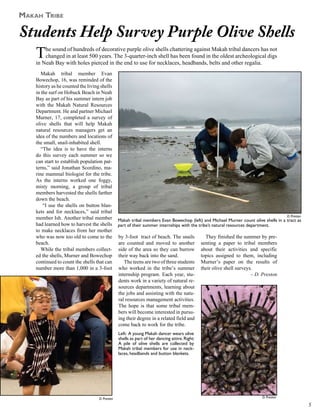 Makah Tribe

Students Help Survey Purple Olive Shells
  T     he sound of hundreds of decorative purple olive shells chattering against Makah tribal dancers has not
        changed in at least 500 years. The 3-quarter-inch shell has been found in the oldest archeological digs
    in Neah Bay with holes pierced in the end to use for necklaces, headbands, belts and other regalia.
       Makah tribal member Evan
    Bowechop, 16, was reminded of the
    history as he counted the living shells
    in the surf on Hobuck Beach in Neah
    Bay as part of his summer intern job
    with the Makah Natural Resources
    Department. He and partner Michael
    Murner, 17, completed a survey of
    olive shells that will help Makah
    natural resources managers get an
    idea of the numbers and locations of
    the small, snail-inhabited shell.
       “The idea is to have the interns
    do this survey each summer so we
    can start to establish population pat-
    terns,” said Jonathan Scordino, ma-
    rine mammal biologist for the tribe.
    As the interns worked one foggy,
    misty morning, a group of tribal
    members harvested the shells farther
    down the beach.
        “I use the shells on button blan-
    kets and for necklaces,” said tribal
                                                                                                                                          D. Preston
    member Ish. Another tribal member            Makah tribal members Evan Bowechop (left) and Michael Murner count olive shells in a tract as
    had learned how to harvest the shells        part of their summer internships with the tribe’s natural resources department.
    to make necklaces from her mother
    who was now too old to come to the           by 3-foot tract of beach. The snails             They finished the summer by pre-
    beach.                                       are counted and moved to another               senting a paper to tribal members
       While the tribal members collect-         side of the area so they can burrow            about their activities and specific
    ed the shells, Murner and Bowechop           their way back into the sand.                  topics assigned to them, including
    continued to count the shells that can          The teens are two of three students         Murner’s paper on the results of
    number more than 1,000 in a 3-foot           who worked in the tribe’s summer               their olive shell surveys.
                                                 internship program. Each year, stu-                                     – D. Preston
                                                 dents work in a variety of natural re-
                                                 sources departments, learning about
                                                 the jobs and assisting with the natu-
                                                 ral resources management activities.
                                                 The hope is that some tribal mem-
                                                 bers will become interested in pursu-
                                                 ing their degree in a related field and
                                                 come back to work for the tribe.
                                                 Left: A young Makah dancer wears olive
                                                 shells as part of her dancing attire. Right:
                                                 A pile of olive shells are collected by
                                                 Makah tribal members for use in neck-
                                                 laces, headbands and button blankets.




                                    D. Preston                                                                               D. Preston

                                                                                                                                                       
 