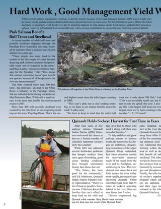 Hard Work , Good Management Yield W
                      While overall salmon populations continue to decline mostly because of lost and damaged habitat, 2009 was a bright year
                      for many stocks. Indian and non-Indian fishermen enjoyed harvests in some areas for the first time in years. While the tribal
                      and state co-managers work hard every day to minimize impacts to wild salmon stocks from harvest and hatchery practices,
                      salmon recovery will ultimately be successful only with a strong commitment to protecting and restoring salmon habitat.
    Pink Salmon Benefit
    Bull Trout and Steelhead
       A record number of adult bull trout and
    juvenile steelhead migrated through the
    Puyallup River watershed this year, boost-
    ed by nutrients from a massive run of pink
    salmon two years ago.
       “There simply was more food in the
    system in the last couple of years because
    decaying pink salmon carcasses fed practi-
    cally every sort of organism in the river,”
    said Russ Ladley, resource protection man-
    ager for the Puyallup Tribe. “This shows
    that salmon restoration doesn’t just benefit
    one species, because all of the species in the
    river are interconnected.”
       The tribe counted more than 100 bull
    trout – the entire run – at a trap on the White Pink salmon mill together in the White River, a tributary to the Puyallup River.
    River, a tributary to the Puyallup, where
    fish are collected before being trucked over
    Mud Mountain Dam. While still a small re-              ond highest count since the tribe began counting trout run is only about 100 fish,“ Lad
    turn, it was more than double the previous record in 2000.                                                        “This is an incredibly small run, but it’
    return in 2003.                                           “This year’s pink run is also looking pretty tant to note the uptick this year. I also w
       More than 400 wild juvenile steelhead were big, so we hope to see similar benefits down the say this is the largest bull trout run ever
    counted by the tribe from an out-migrating smolt road,” Ladley said.                                              largest since we’ve been counting in the
    trap on the lower Puyallup River. That’s the sec-        “We have to keep in mind that the entire bull decades.” – E. O’Connell


                                                                      Quinault Holds Sockeye Harvest for First Time in Years
                                                                        After four years of low        they give fish to those who       jams installed las
                                                                      sockeye returns, Quinault        need it along with their own      mer in the river abo
                                                                      Indian Nation (QIN) fisher-      extended families.”               Quinault diverted hi
                                                                      men welcomed the chance to          To help stabilize and grow     away from Alder Cr
                                                                      harvest a limited number of      sockeye returns to historic       of the few remaining
                                                                      culturally important sockeye     levels, the nation also has be-   ing channels used b
                                                                      early this summer.               gun an ambitious, decades-        eye. Additional chan
                                                                        While QIN has addresed         long restoration of the upper     forming within the
                                                                      several freshwater problems      Quinault River watershed.         area as well as dee
                                                                      that hamper sockeye from         Past forest practices outside     that benefit all salm
                                                                      once again flourishing, good     the reservation removed           steelhead. The tribe
                                                                      ocean feeding conditions         much of the wood from the         worked to boost zoo
                                                                      have brought intermittent        river and its floodplain, de-     that sockeye feed on
                                                                      bounty that allows harvest.      stabilizing its flow. The river   Quinault by increasi
                                                                        “This fishery has been         channel now moves back and        gen and phosphorou
                                                                      good for the community,”         forth across the river valley     Finally, the tribe has
                                                                      said Ed Johnstone, Quinault      more rapidly, erasing sockeye     ed sockeye supplem
                                                                      Indian Nation fisheries poli-    spawning channels. Where          program where adu
                                                                      cy representative. “There’s a    once there were more than 55      eye are captured,
                                                                      lot of food in people’s freez-   miles of sockeye spawning         and their eggs rea
                                                                      ers now. Fishermen know the      habitat in the river, there are   released at the tribe
                                                                      families that can’t afford to    now fewer than 3 miles.           Quinault Hatchery.
             D. Preston




                                                                      keep food on the table and          Thirteen engineered log                         – D.
                                                                      Quinault tribal member Gary Martin hauls sockeye
                                                                      out of a boat near the mouth of the Quinault River.

 