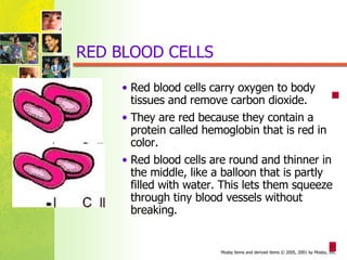 RED BLOOD CELLS Red blood cells carry oxygen to body tissues and remove carbon dioxide. They are red because they contain a protein called hemoglobin that is red in color. Red blood cells are round and thinner in the middle, like a balloon that is partly filled with water. This lets them squeeze through tiny blood vessels without breaking.  