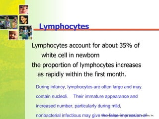 Lymphocytes  account for about 35% of  white cell in newborn the proportion of lymphocytes increases as rapidly within the first month .  Lymphocytes During infancy, lymphocytes are often large and may contain nucleoli.  Their immature appearance and increased number, particularly during mild, nonbacterial infectious may give the false impression of malignancy . 