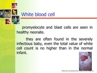 promyelocyte  and  blast cells  are seen in healthy neonate.  they are often found in the severely infectious baby, even the total value of white cell count is no higher than in the normal infant. White blood cell  