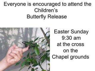 Everyone is encouraged to attend the Children’s  Butterfly Release    Easter Sunday 9:30 am at the cross  on the  Chapel grounds    