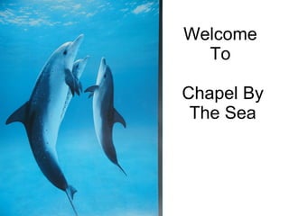 Welcome  To  Chapel By The Sea 