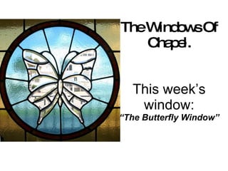 The Windows Of Chapel. This week’s window: “The Butterfly Window” 