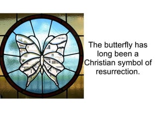The butterfly has long been a Christian symbol of resurrection. 