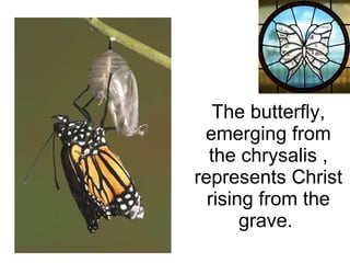 The butterfly, emerging from the chrysalis , represents Christ rising from the grave.  