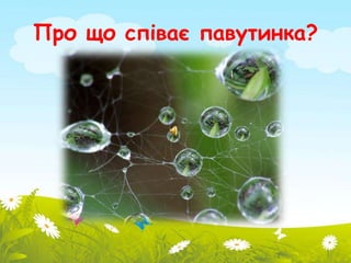 Про що співає павутинка? 
 